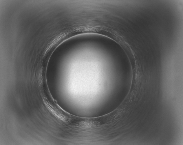 X0000086110250200703231509