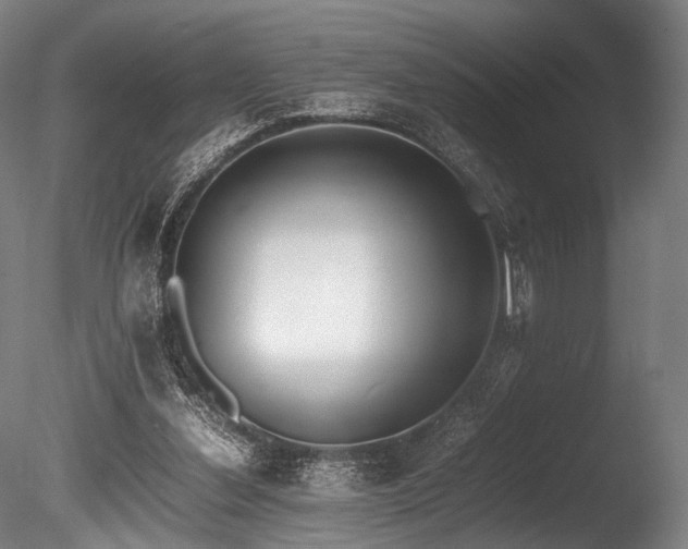 X0000086110252200703231509