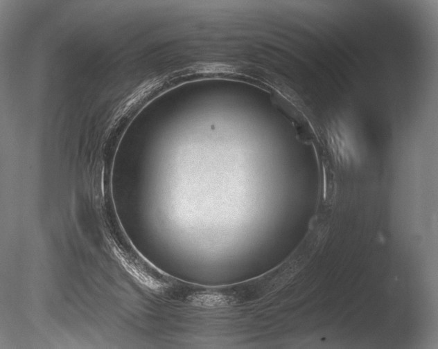 X0000086110253200703231509