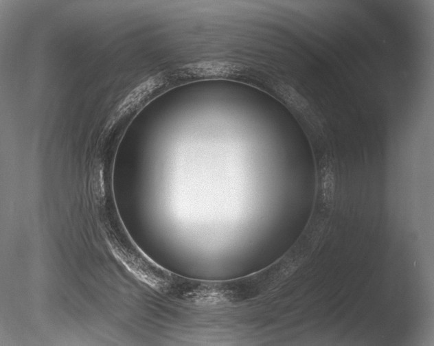 X0000086110254200703231509
