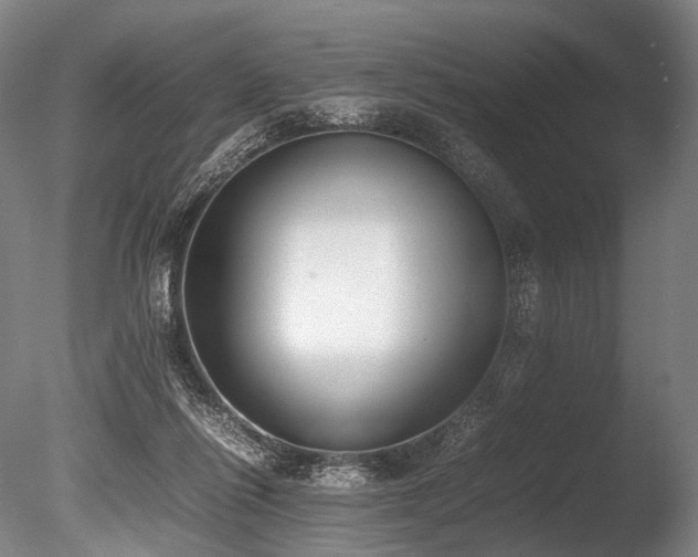 X0000086110262200703231509