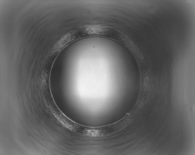 X0000086110265200703231509
