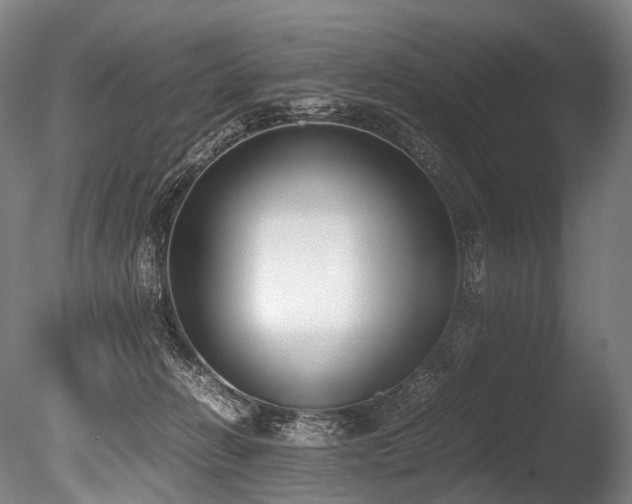 X0000086110270200703231509