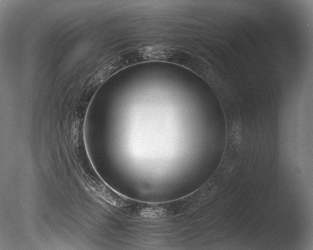 X0000086110271200703231509