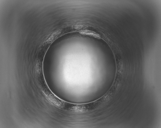 X0000086110272200703231509