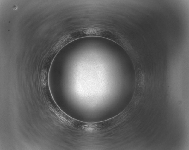 X0000086110273200703231509
