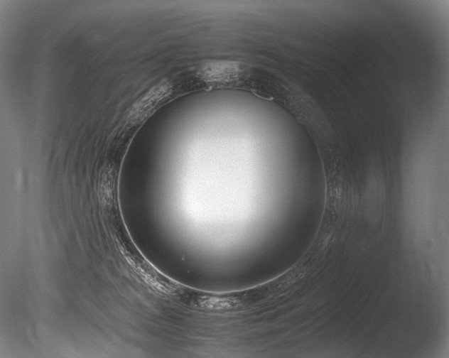 X0000086110277200703231509