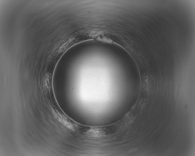 X0000086110280200703231509