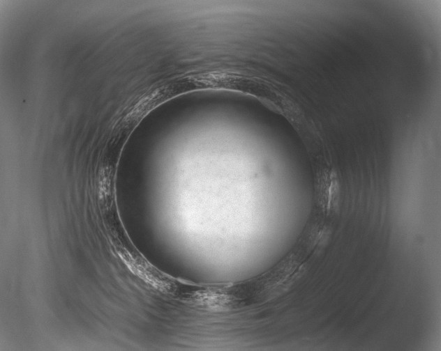 X0000086110284200703231509