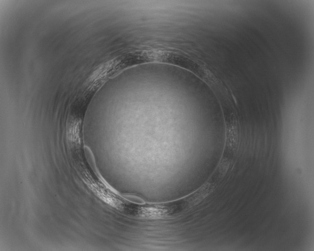 X0000086110286200703231509