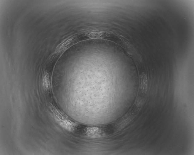 X0000086110287200703231509
