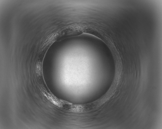 X0000086110288200703231509