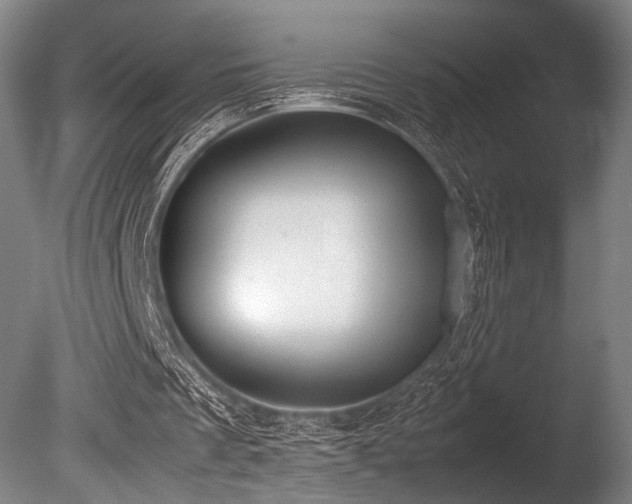 X0000086110289200703231509