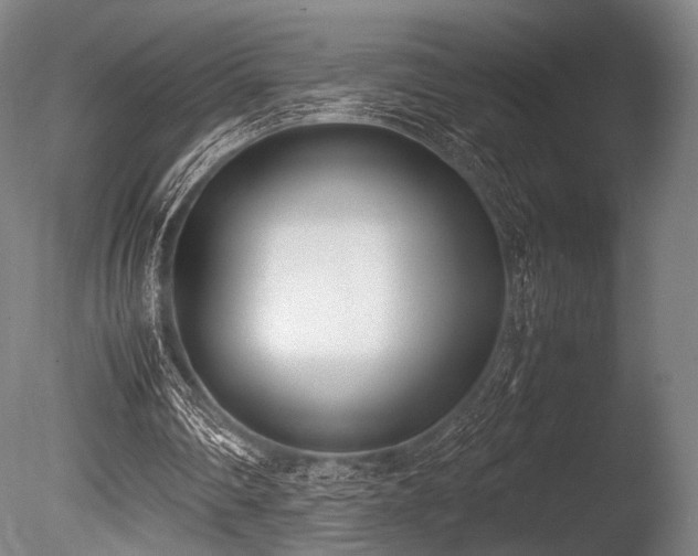 X0000086110290200703231509