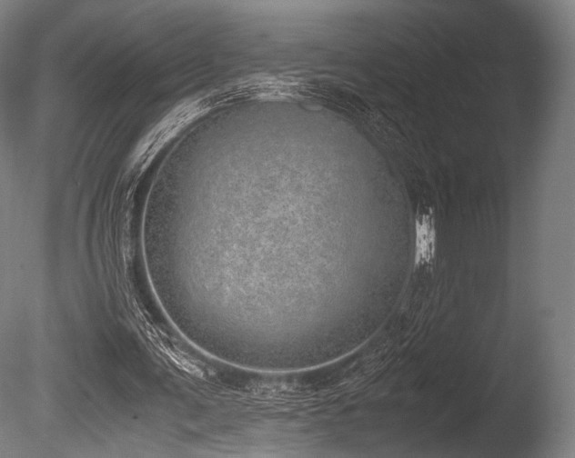 X0000086110291200703231508