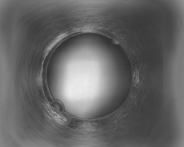 X0000086110292200703231508
