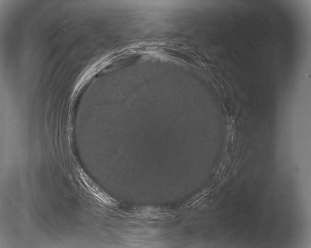 X0000086110293200703231508