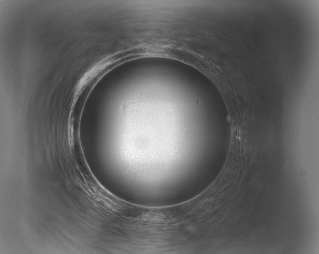 X0000086110294200703231508