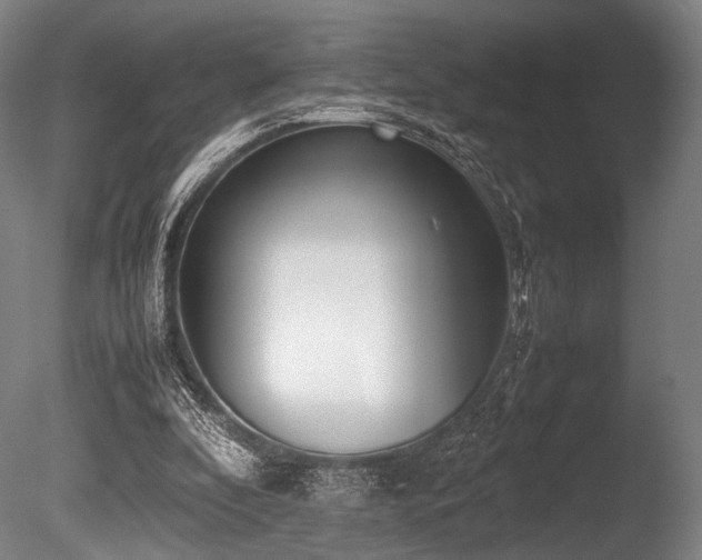 X0000086110296200703231508