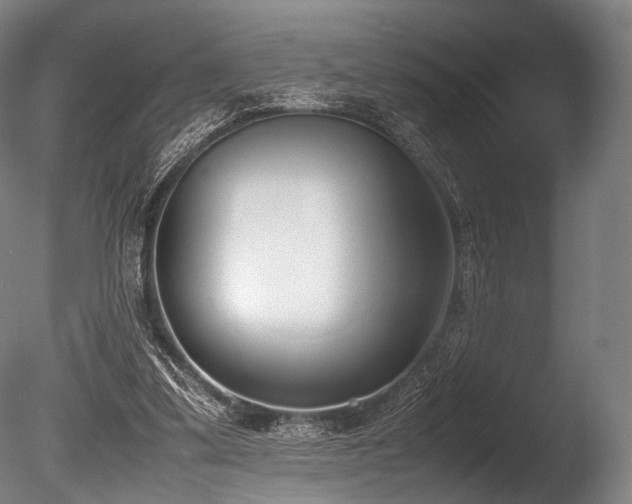 X0000086110299200703231508