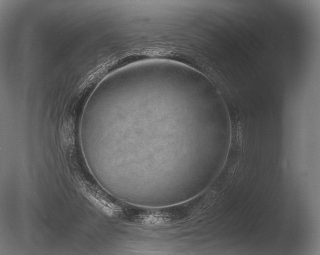 X0000086110303200703231508