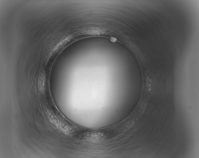 X0000086110304200703231508