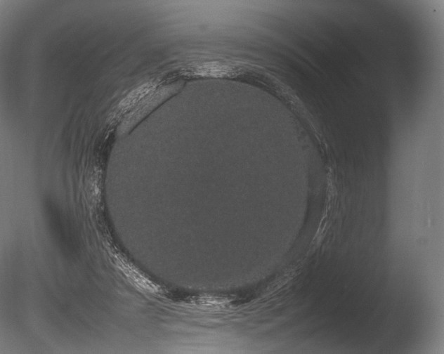 X0000086110305200703231508