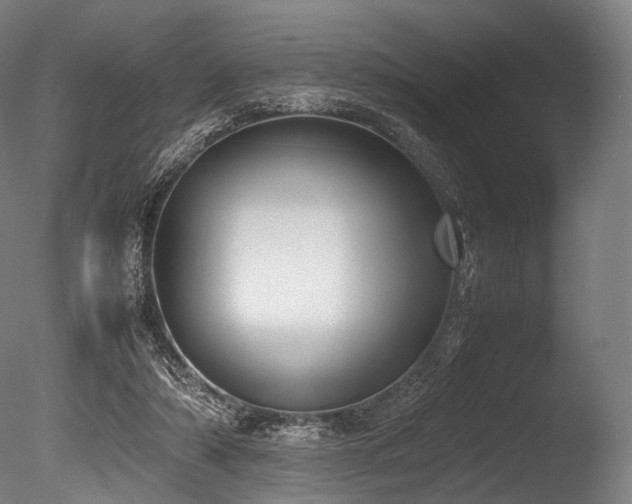 X0000086110306200703231508