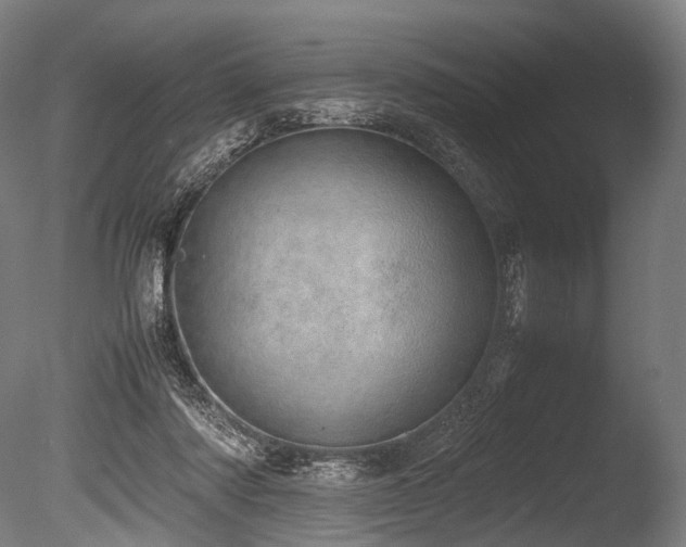 X0000086110310200703231508