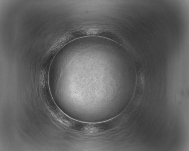 X0000086110311200703231508
