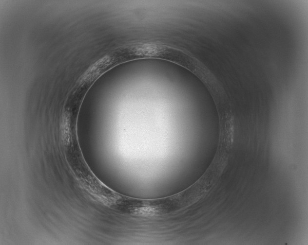 X0000086110312200703231508