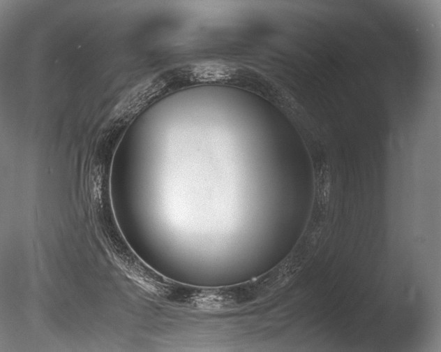 X0000086110315200703231508