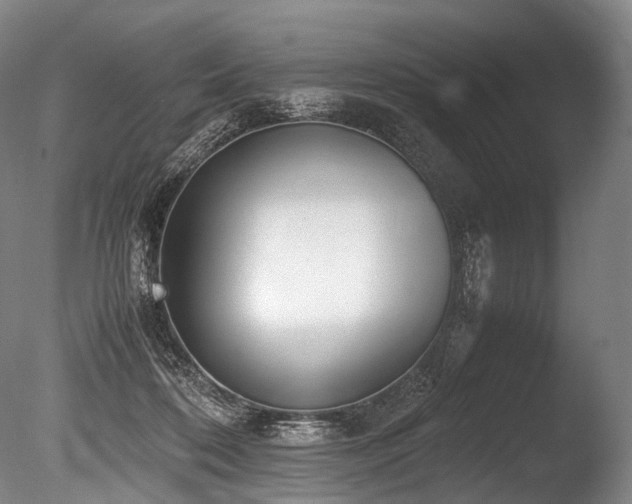X0000086110316200703231508