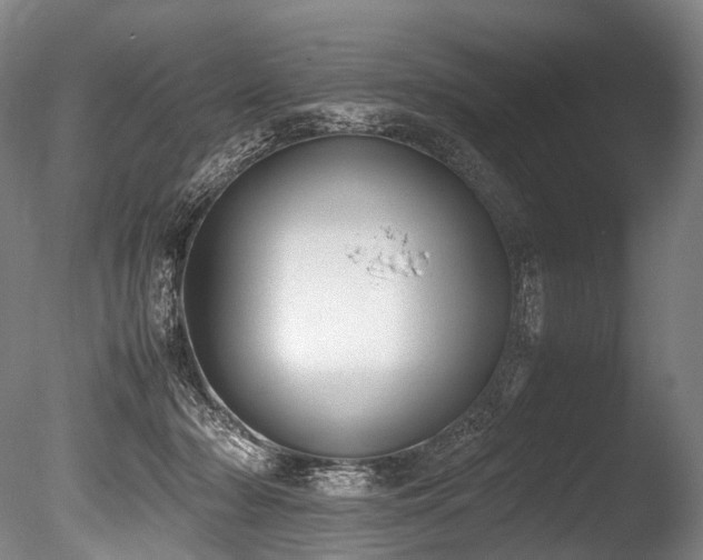 X0000086110318200703231508