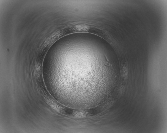 X0000086110321200703231508