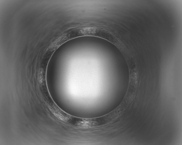 X0000086110323200703231508