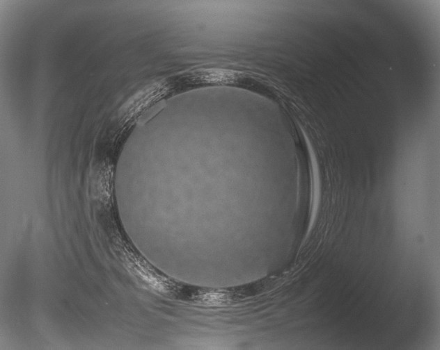 X0000086110325200703231508