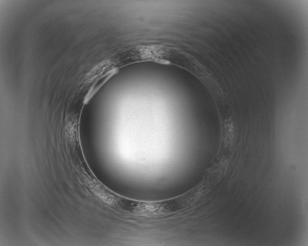 X0000086110329200703231508