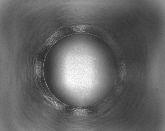 X0000086110332200703231508