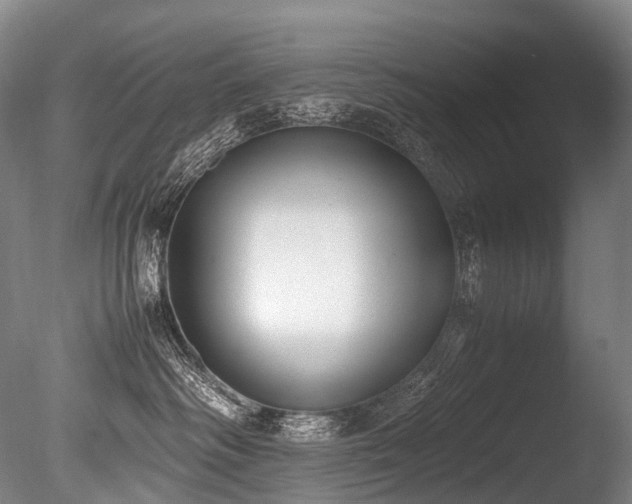 X0000086110334200703231508