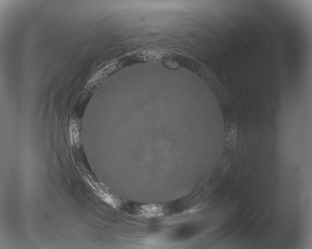 X0000086110335200703231508