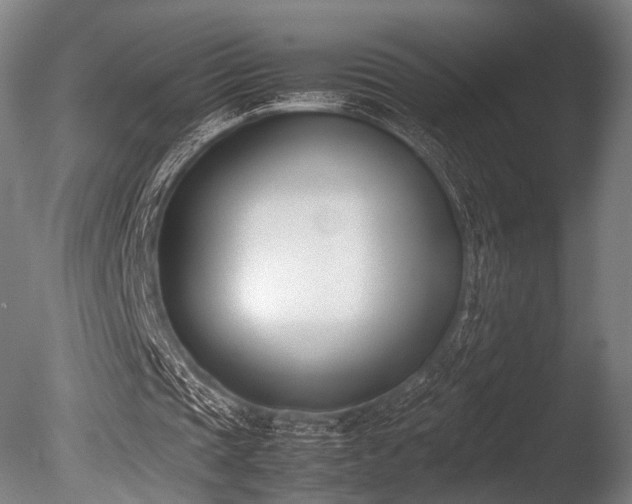 X0000086110337200703231507