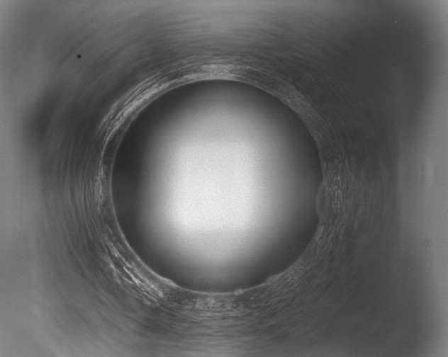 X0000086110338200703231507