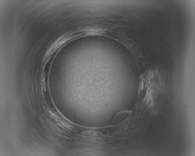 X0000086110339200703231507