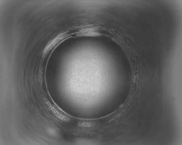 X0000086110341200703231507