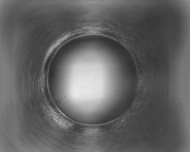X0000086110342200703231507