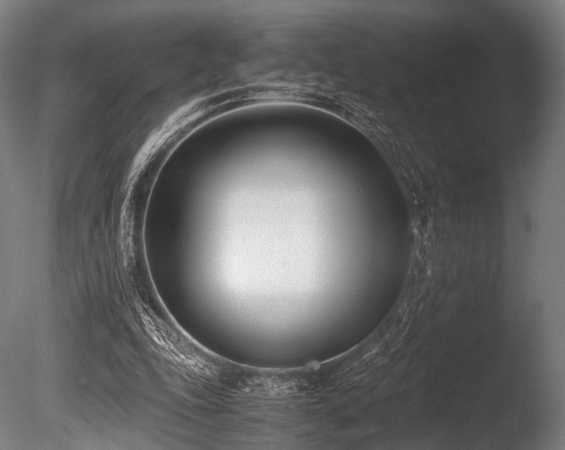 X0000086110343200703231507