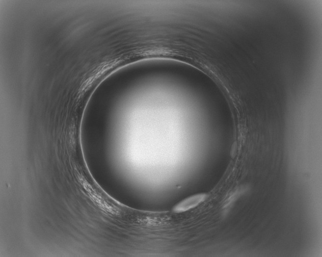X0000086110345200703231507