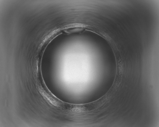 X0000086110350200703231507