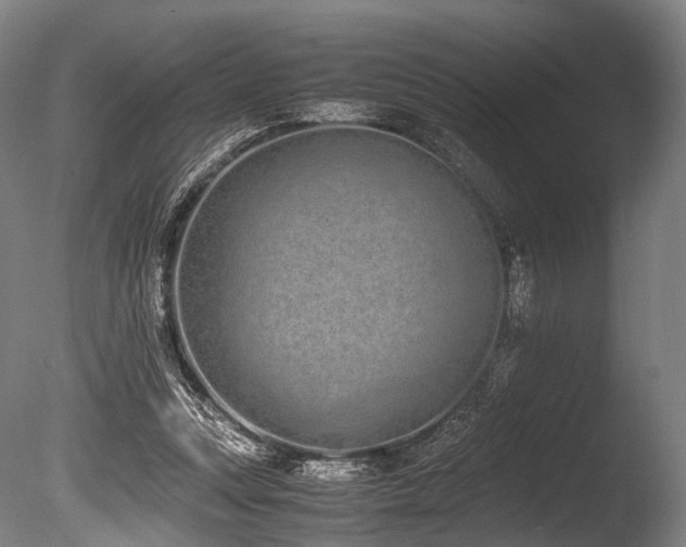 X0000086110351200703231507